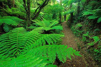 《黑神话：悟空》天命人·大圣金甲全身像发布：7980元起