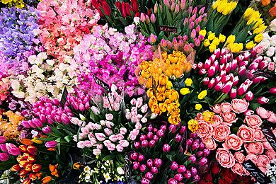 《黎明杀机》开发商Behaviour收购《暗黑地牢》开发商Red Hook